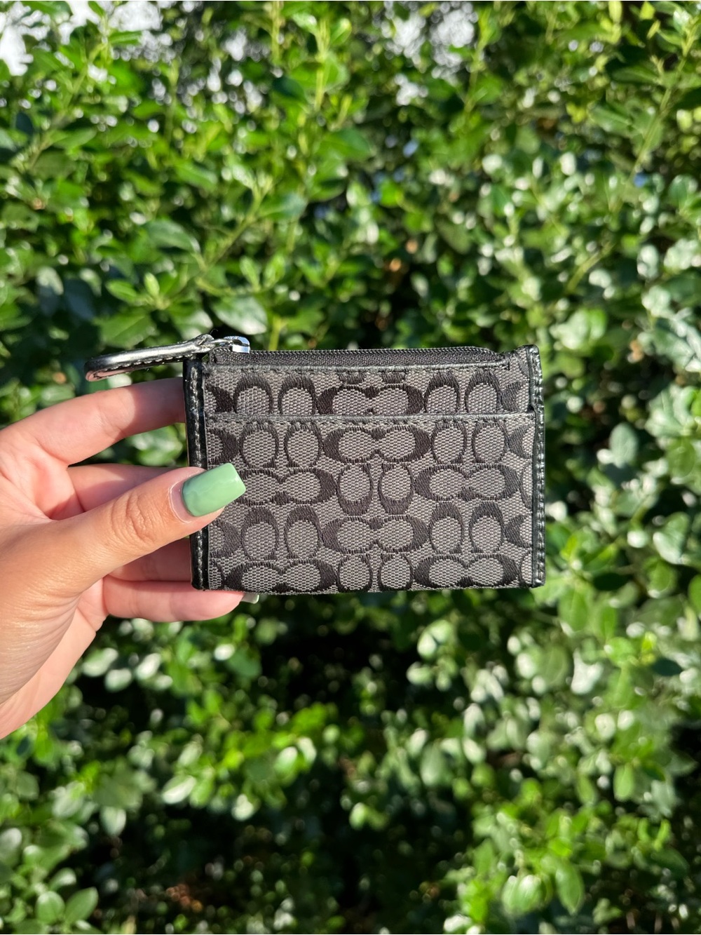 Coach Signature Card Holder